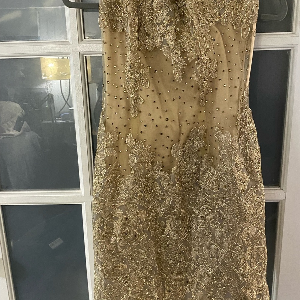 Cinderella Divine Gold dress short stretch with bone in top